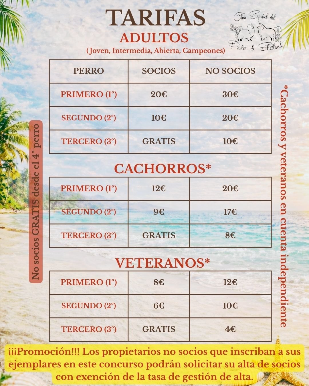 III Concurso Monográfico del Pastor de Shetland 2